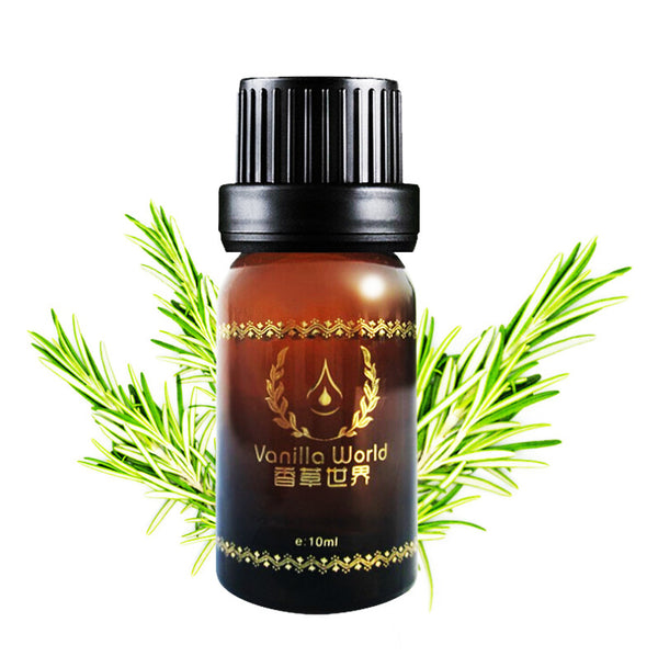 Rosemary  Essential Oil Aromatherapy